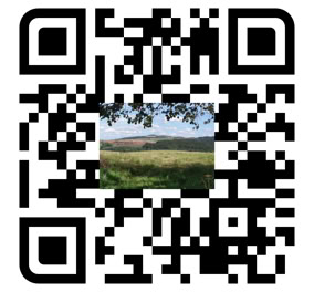 QR code with an image of a grassy field and hills in the center.